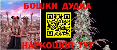 прущие крисы Нарткала