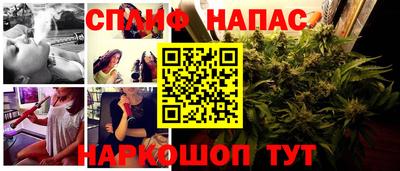 ПСИЛОЦИБИНОВЫЕ ГРИБЫ Нальчик