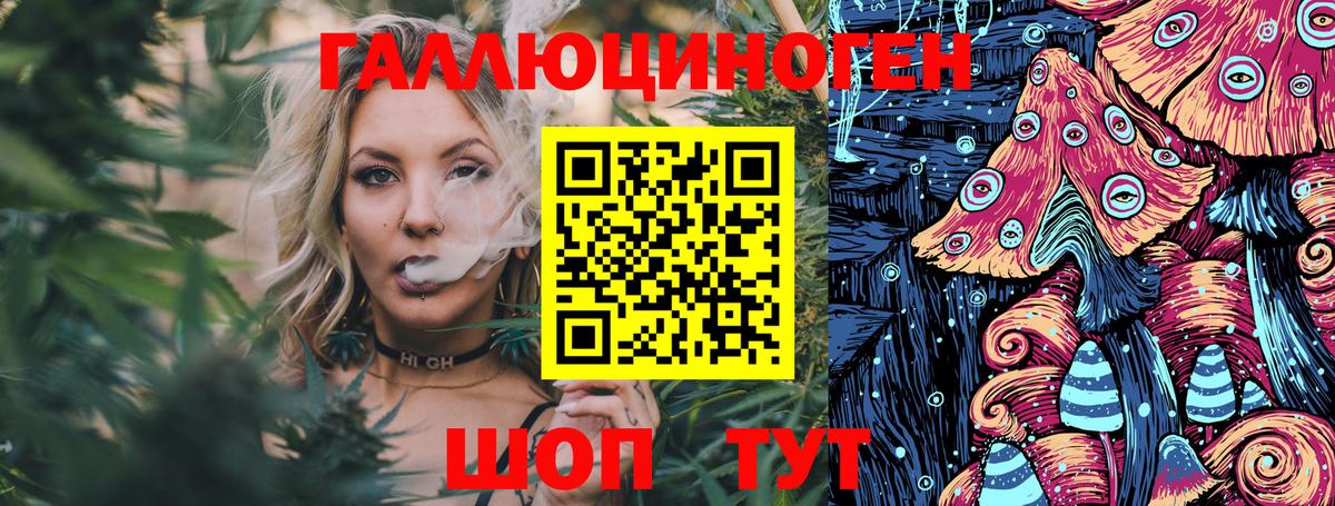 Псилоцибиновые грибы GOLDEN TEACHER  Галлюциногенные грибы ЛСД  Унеча  Вход с VPN 